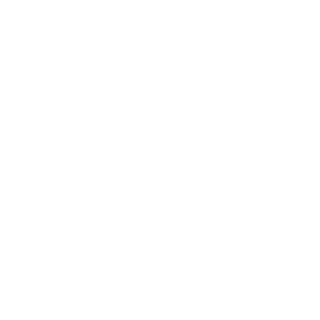 Inter FS B