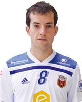 Ricardo Felipe Pérez