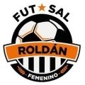 Roldán FSF  FEM