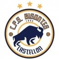 Bisontes Castellón FEM