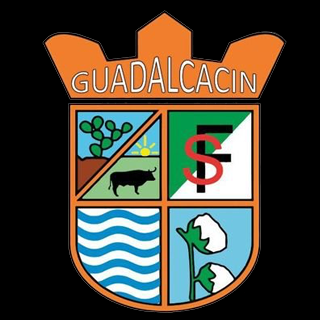 Guadalcín FSCD Fem